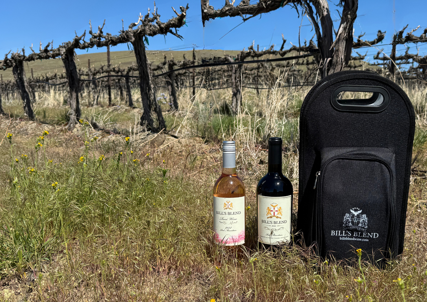 Insulated 2-Bottle Tote Set